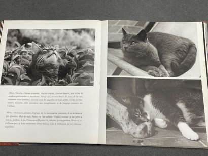 LEONOR FINI, 
Miroir des Chats, 
photographies...