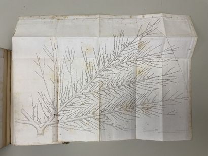 ALBRET, J.-B. d'. - Cours théorique et pratique...