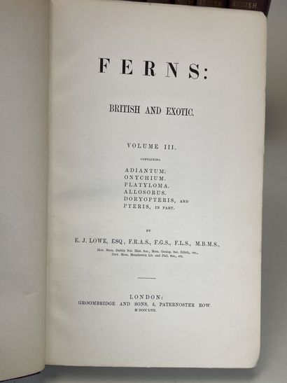 LOWE, Edward Joseph. - Ferns : British and...