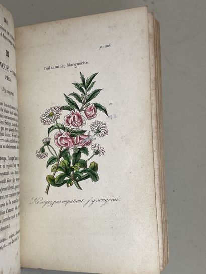 LENEVEUX, Louise. - Les Fleurs emblématiques...