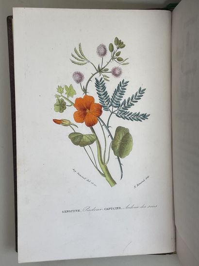 JACQUEMART, Albert. - Flore des Dames. Nouveau...