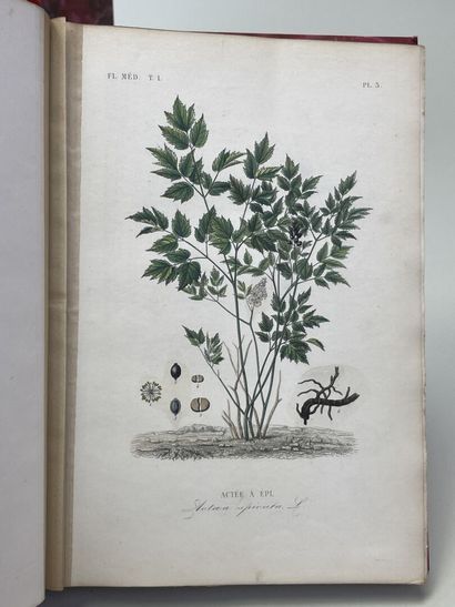 DUPUIS, A & REVEIL, O. - Flore médicale usuelle...