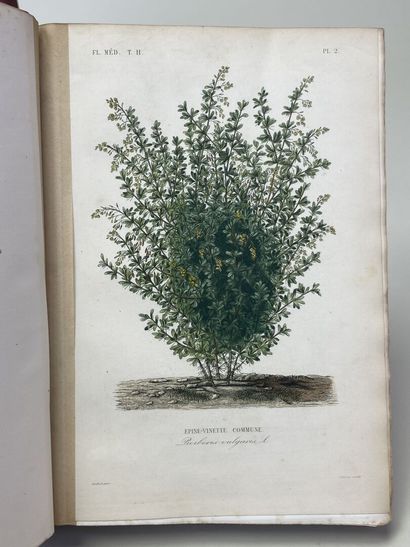 DUPUIS, A & REVEIL, O. - Flore médicale usuelle...