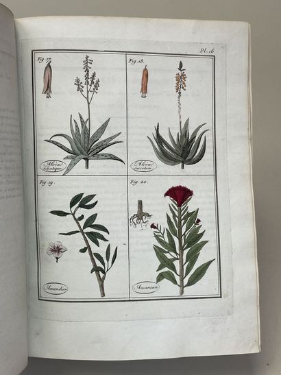 ROQUES, Joseph. - Plantes usuelles, indigènes...