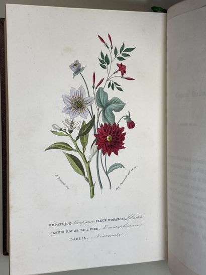 JACQUEMART, Albert. - Flore des Dames. Nouveau...