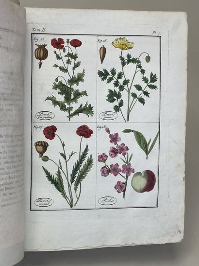 ROQUES, Joseph. - Plantes usuelles, indigènes...