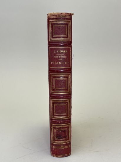 FIGUIER, Louis. - Histoire des Plantes. Ouvrage...