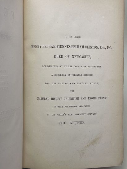 LOWE, Edward Joseph. - Ferns : British and...