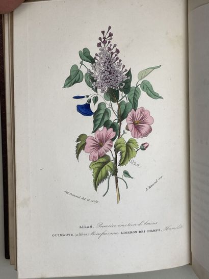 JACQUEMART, Albert. - Flore des Dames. Nouveau...