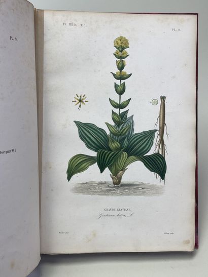 DUPUIS, A & REVEIL, O. - Flore médicale usuelle...