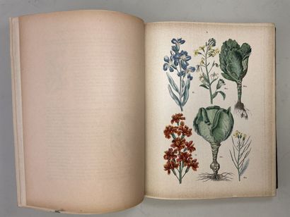ROTHSCHILD, (Jules de) et al. - Botanique...