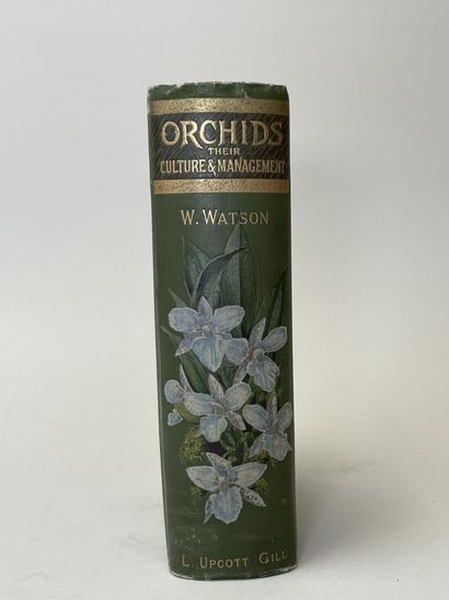 WATSON, W & BEAN, W. - Orchids : their culture...