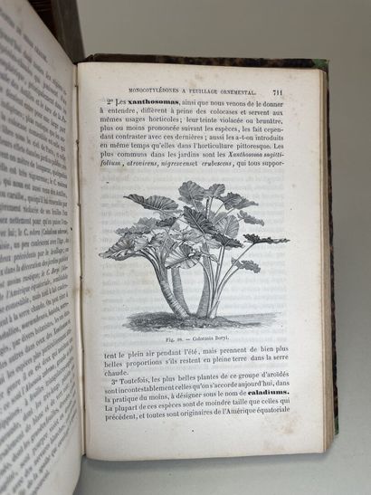 DECAISNE, Joseph & NAUDIN, Charles. - Manuel...