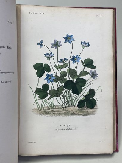 DUPUIS, A & REVEIL, O. - Flore médicale usuelle...