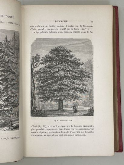 FIGUIER, Louis. - Histoire des Plantes. Ouvrage...