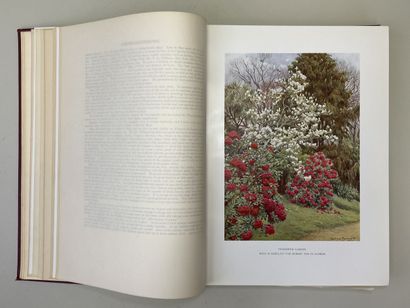 MILLAIS, John Guille. - Rhododendrons (first...