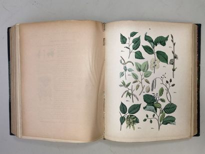 ROTHSCHILD, (Jules de) et al. - Botanique...