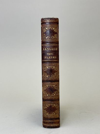 LA TOUR, Charlotte de (pseud. Mme. CORTE)....