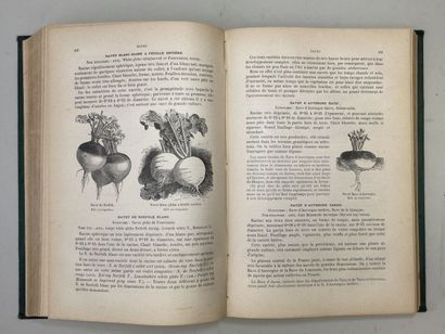 VILMORIN-ANDRIEUX. - Les Plantes potagères....