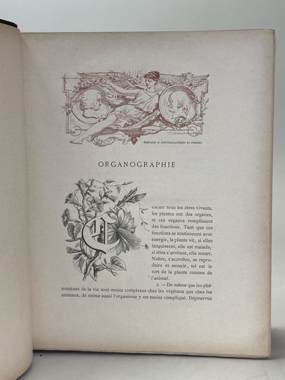 ROTHSCHILD, (Jules de) et al. - Botanique...