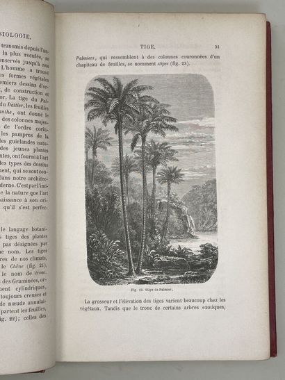 FIGUIER, Louis. - Histoire des Plantes. Ouvrage...