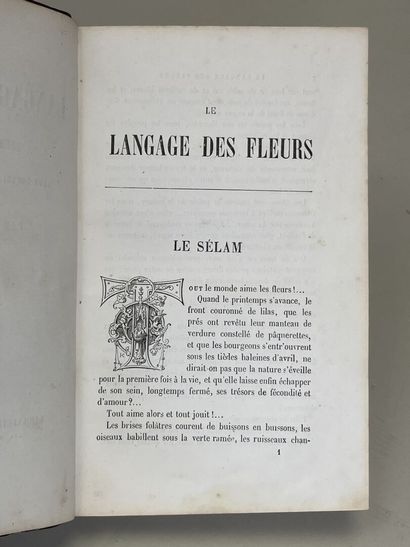 ZACCONE, Pierre. - Nouveau Langage des fleurs...
