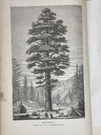 FIGUIER, Louis. - Histoire des Plantes. Ouvrage...