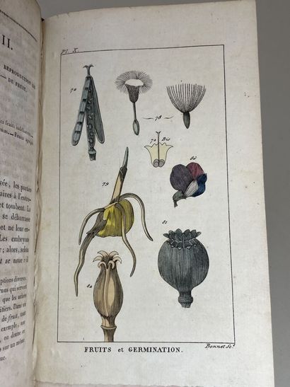 DEMERSON, Jean-Louis. - La Botanique enseignée...