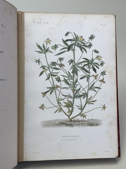 DUPUIS, A & REVEIL, O. - Flore médicale usuelle...