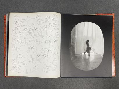 LEONOR FINI, 
Miroir des Chats, 
photographies...