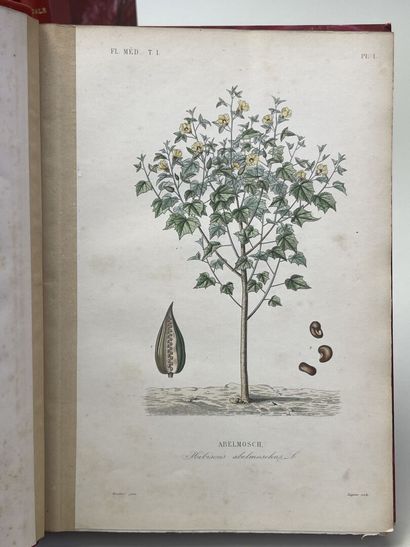 DUPUIS, A & REVEIL, O. - Flore médicale usuelle...