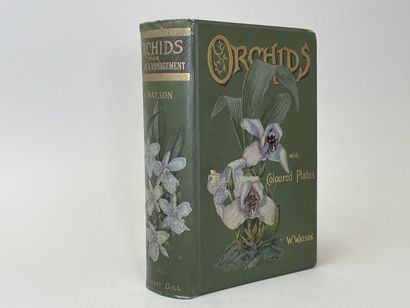 WATSON, W & BEAN, W. - Orchids : their culture...