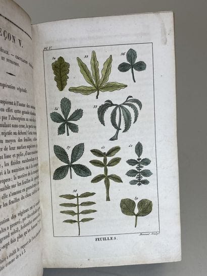 DEMERSON, Jean-Louis. - La Botanique enseignée...