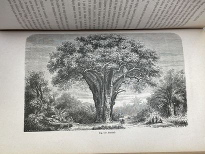 FIGUIER, Louis. - Histoire des Plantes. Ouvrage...