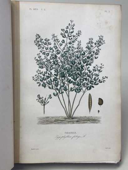 DUPUIS, A & REVEIL, O. - Flore médicale usuelle...