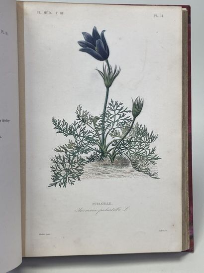 DUPUIS, A & REVEIL, O. - Flore médicale usuelle...