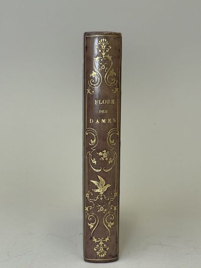 JACQUEMART, Albert. - Flore des Dames. Nouveau...