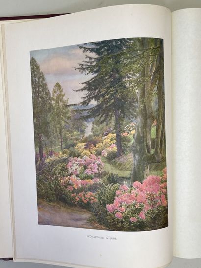 MILLAIS, John Guille. - Rhododendrons (first...