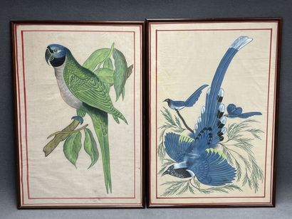 Peinture sur soie Indienne: Oiseaux
Encadrées
85...