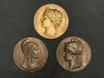 Assemblée Nationale Trois médailles républicaines...