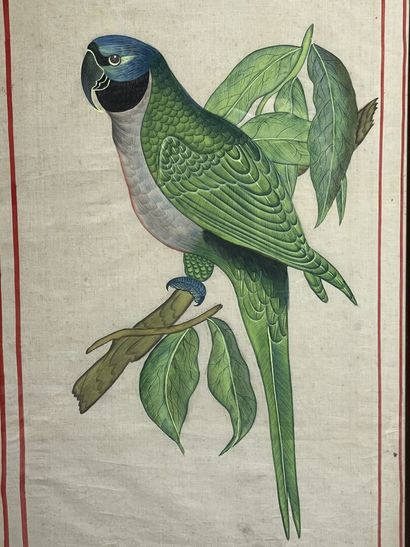 Peinture sur soie Indienne: Oiseaux
Encadrées
85...