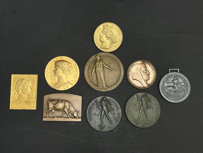 Lot de neuf médailles françaises en bronze...