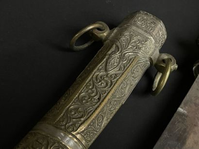 Koumia d'Afrique du nord. 
L. :43 cm.