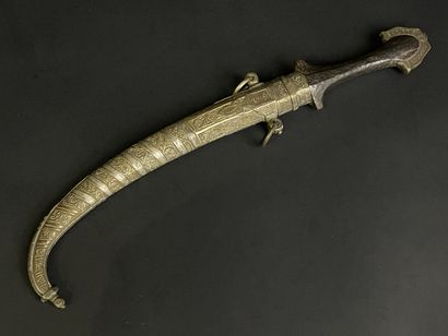 Koumia d'Afrique du nord. 
L. :43 cm.