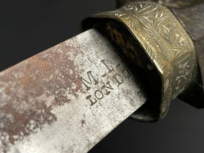 Koumia d'Afrique du nord. 
L. :43 cm.