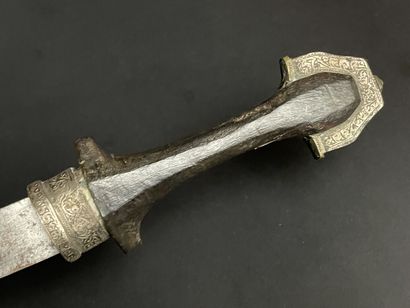 Koumia d'Afrique du nord. 
L. :43 cm.