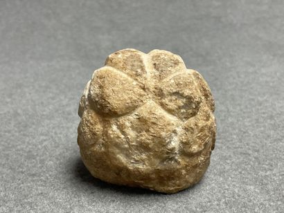 Tête en pierre sculpté Antique. 
H. :6,5...