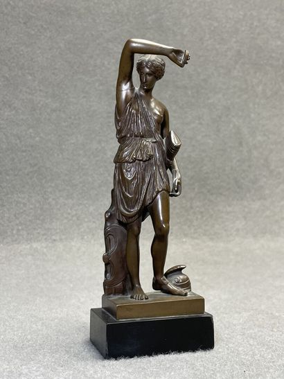 Amazone blessée.
Epreuve en bronze à patine...