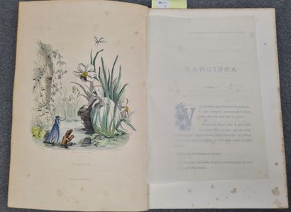 GRANDVILLE (J.J.). Les Fleurs animées. 
Nouvelle...