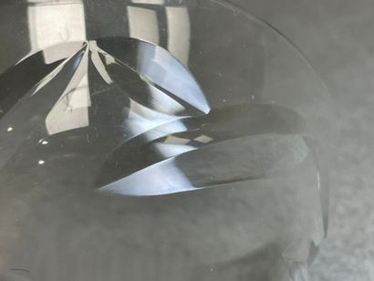 BACCARAT
Six coupelles en cristal. 
Signés...